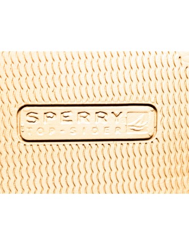 SPERRY